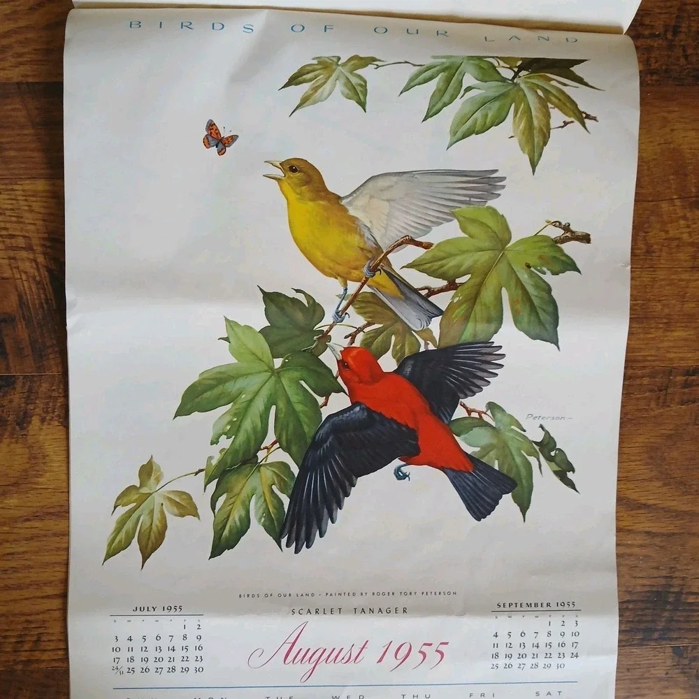 Vtg 1955 Birds Of Our Land Advertising Calendar Morrell Pride Meats Recipe READ